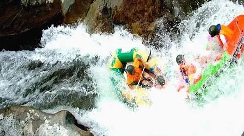 青岛赶海奇遇记：潜水员3小时赚3500背后的故事