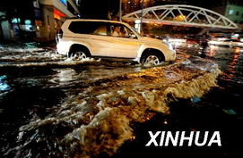 广东暴雨来袭！3 - 5日暴雨套餐上线，多地将迎强降雨