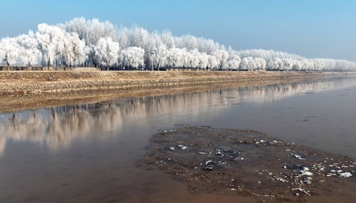 黄河岸边的美景