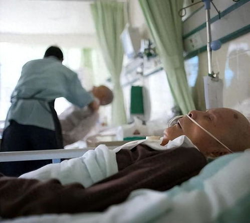 父亲突发脑出血，网约车订单被取消，家属怒怼平台，律师解读背后法律责任