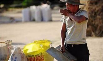 人们在家里享受着高温假带来的清凉舒适