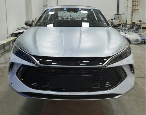 秦L DM-i实车展示