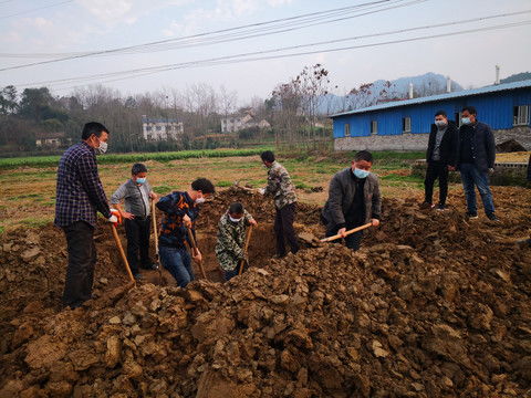 农民在劳作的场景