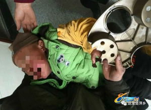 惊魂一刻！美国6岁男童水族馆遇袭，三人齐救脱离危险