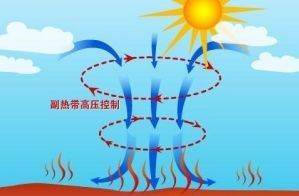 广东这场暴雨的来龙去脉，你知道吗？