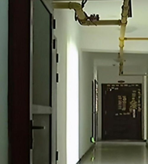 安装纱窗的家庭