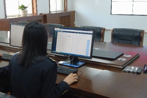 工作人员查看网络数据严肃