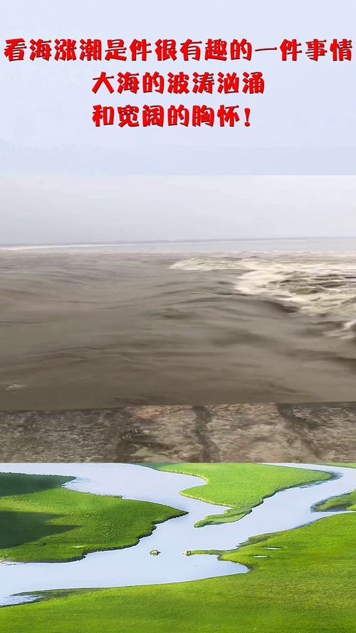 东极岛渔民热血集结直播，背后故事令人动容