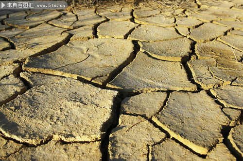 干裂的土地