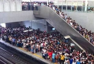 面馆排队盛况照片