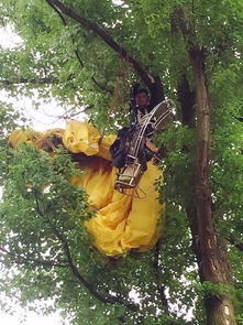 英52岁女子控诉空中滑翔伞教练性侵，真相令人咋舌！