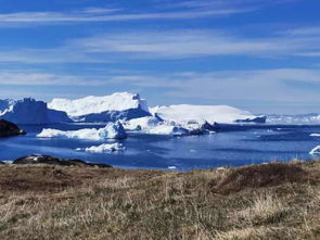 北极圈热浪持续13天达30℃，医院不堪重负，全球多地高温肆虐