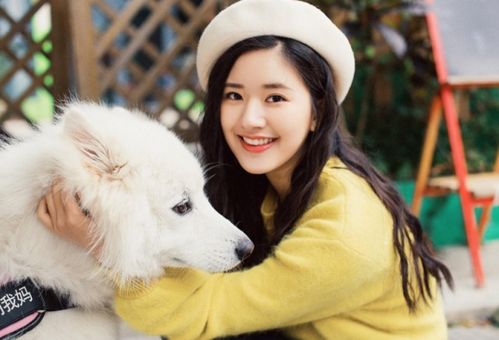 赵露思艾特银河酷娱截图