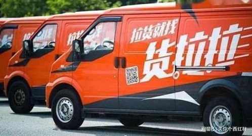 国家发钱淘汰旧家电，那些旧货去哪儿了？