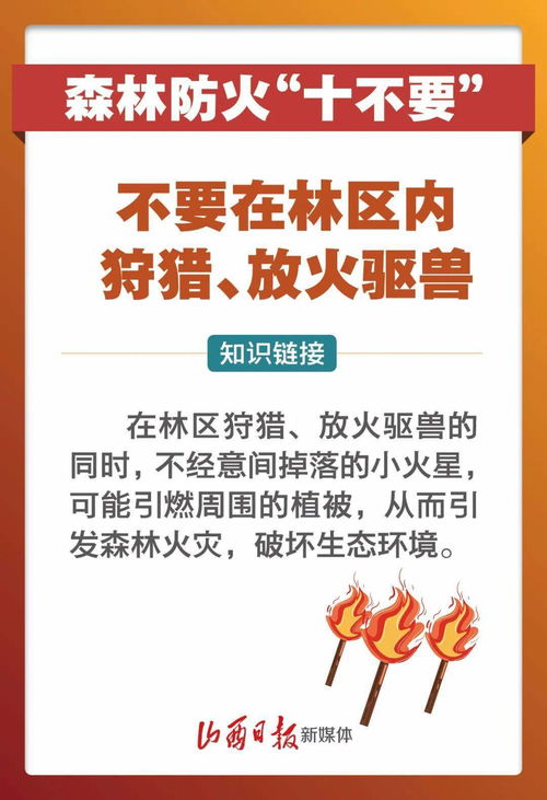 十要十不要宣传海报