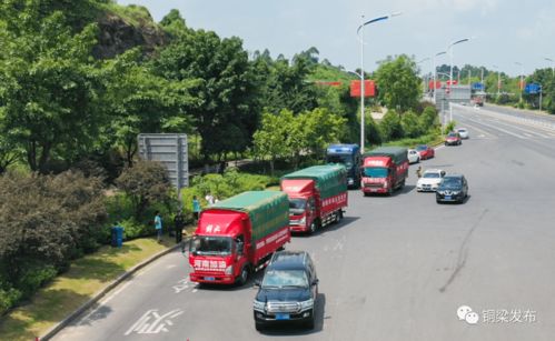 加沙危机：以色列总理欲全面占领背后的真相