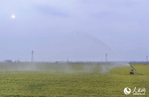 农田里的喷灌设备