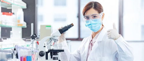 科研人员忙碌工作