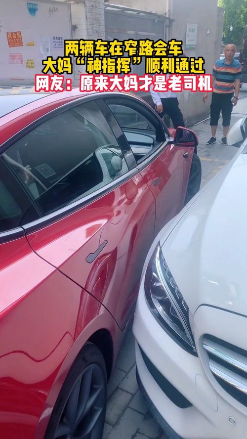 奔驰亮证姐被拘5日，背后真相令人深思！