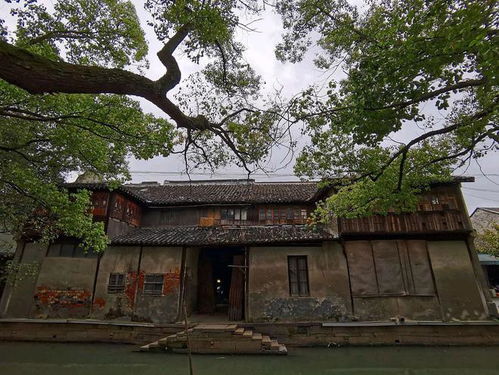 筑基强国之路——探寻文化根基的力量