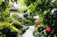 新加坡园子风光