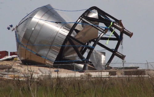 海上小提琴？这竟是一种新型发电装置！