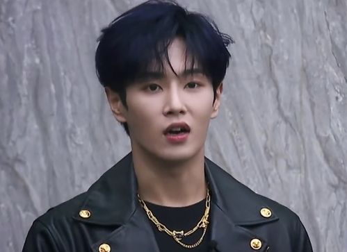 瑞鹤娱乐秒删背后：易易紫与李汶翰疑似同居引关注