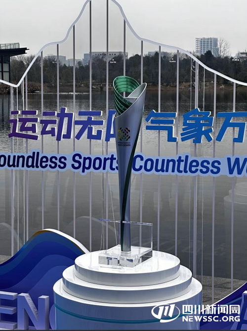 成都世运会焰火彩排，那棵大树背后的精彩故事