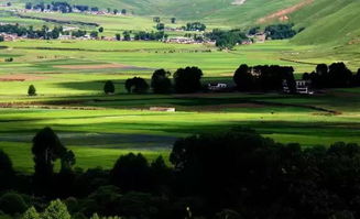 广袤的川西草原上，牛羊成群，远处是连绵的山峦