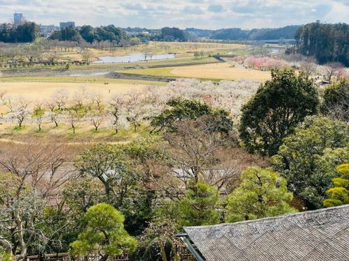 千万考公大军转战海外，掀起新一轮‘上岸’狂潮！