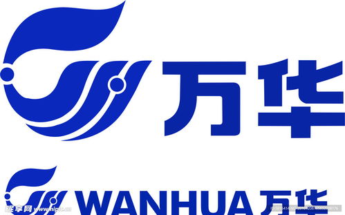 AI圈风云再起！Windsurf华人新东家强制996引争议