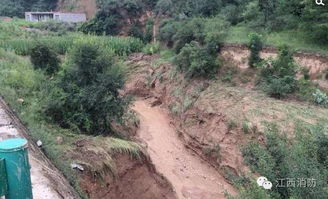 汛期来袭，这些避险知识一定要牢记！