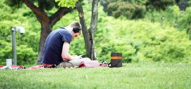 人们被蚊子包围