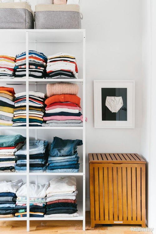 立秋将至，我的生活又多了几分诗意