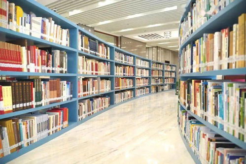 邱毅谈‘馆长高喊我是中国人’背后的故事