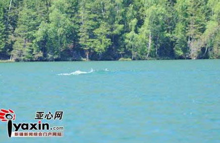 山东辟谣：女子并非因考公失败致抑郁轻生