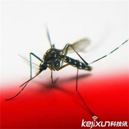 佛山灭蚊大战：这场持久战何时能休？