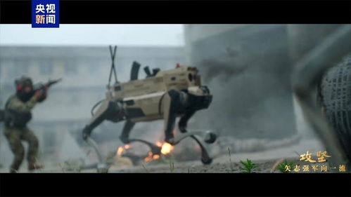 机器狼协同作战