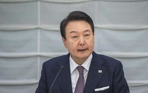 尹锡悦脱衣拒捕背后的故事