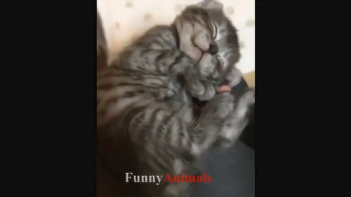 善良之人真的会收获幸福吗？