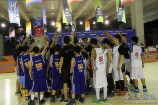 张继科分享好苗子，樊振东获益良多！