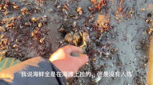 人们在海滩上捡海鲜