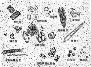 警惕！汛期接触10秒就能染上这种病
