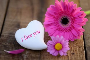 洪涝之后怎样预防疾病？这份超全指南请收好