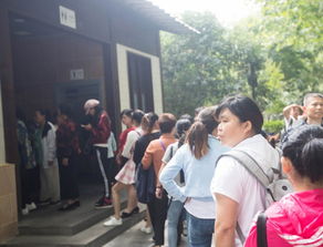 景区女厕排队人群