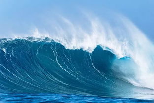 改革浪潮中的帆船