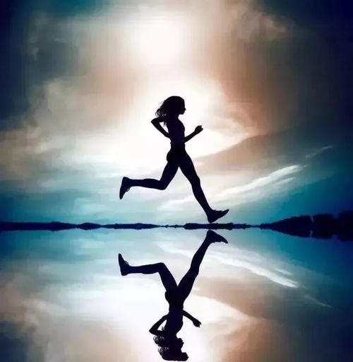 奋楫前行：我的逐梦之旅