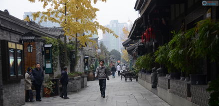 宽窄巷子的街道