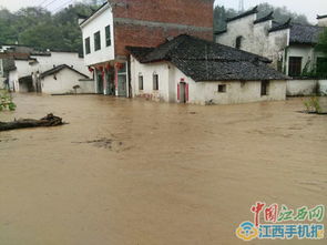 净网行动下防汛抗灾不容谣言作祟