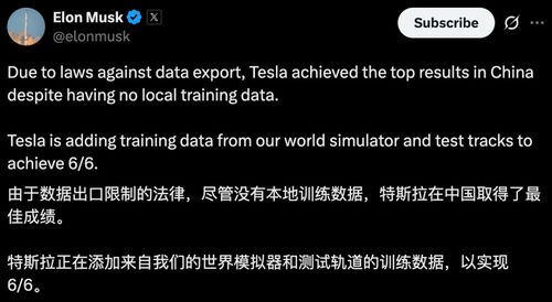 Genie 3生成的森林景象